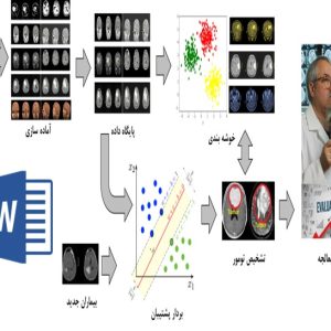تشخیص تومورهای مغزی با آنالیز تصاویر MRI به کمک الگوریتم های یادگیری ماشین